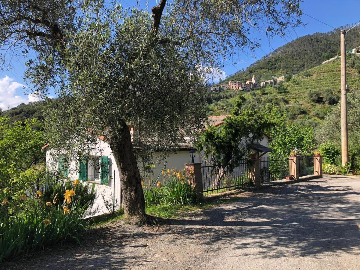 Appartamento Dolcevia Levanto Esterno foto