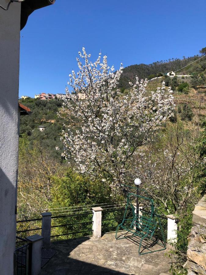 Appartamento Dolcevia Levanto Esterno foto