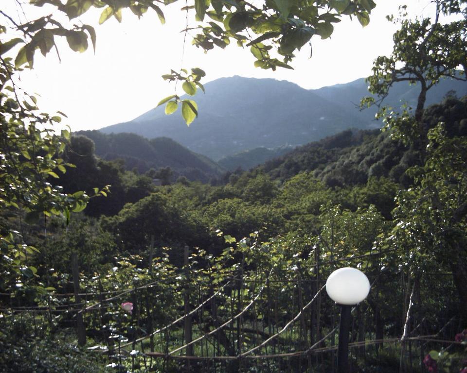 Appartamento Dolcevia Levanto Esterno foto